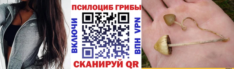Галлюциногенные грибы мицелий  Слободской 